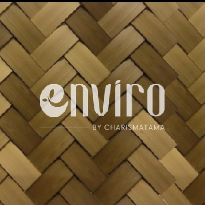 ENV 001