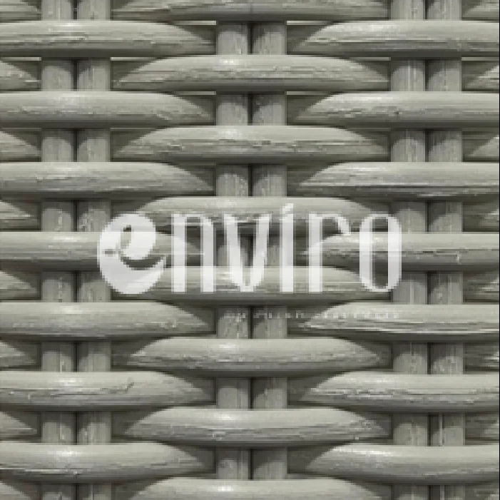 ENV 006