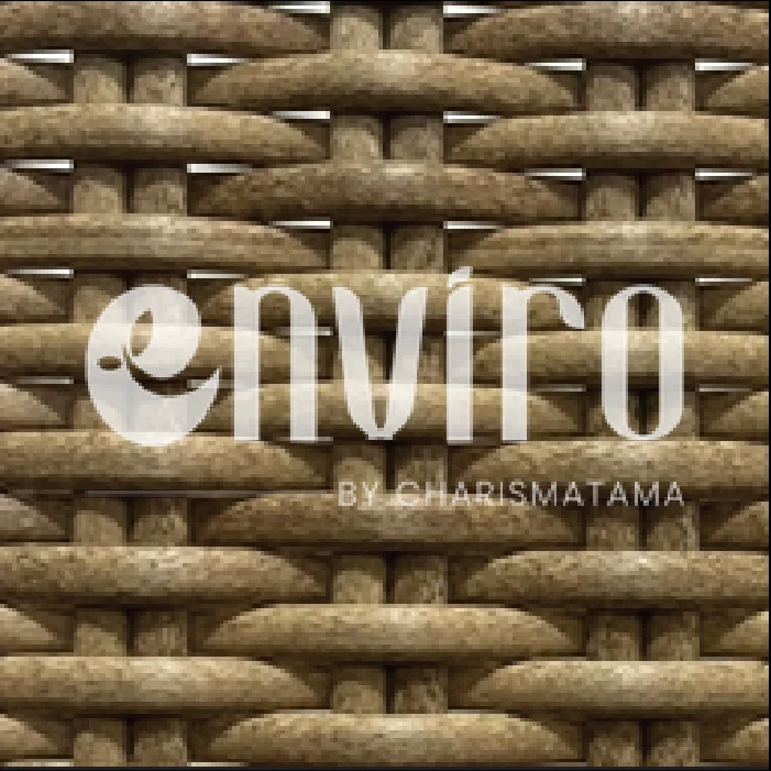 ENV 012