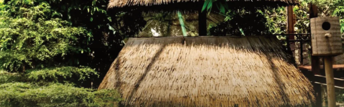 EnviTHATCH